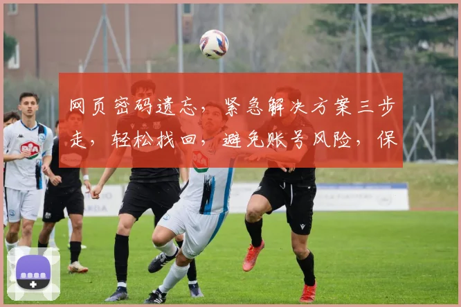 网页密码遗忘，紧急解决方案三步走，轻松找回，避免账号风险，保障隐私安全，高效恢复攻略分享