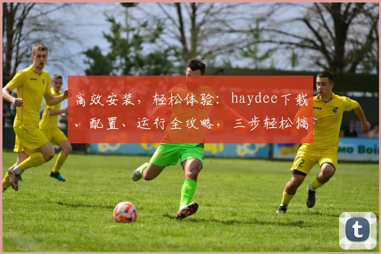 高效安装，轻松体验：haydee下载、配置、运行全攻略，三步轻松搞定