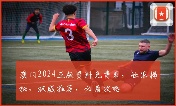 澳门2024正版资料免费看，独家揭秘，权威推荐，必看攻略
