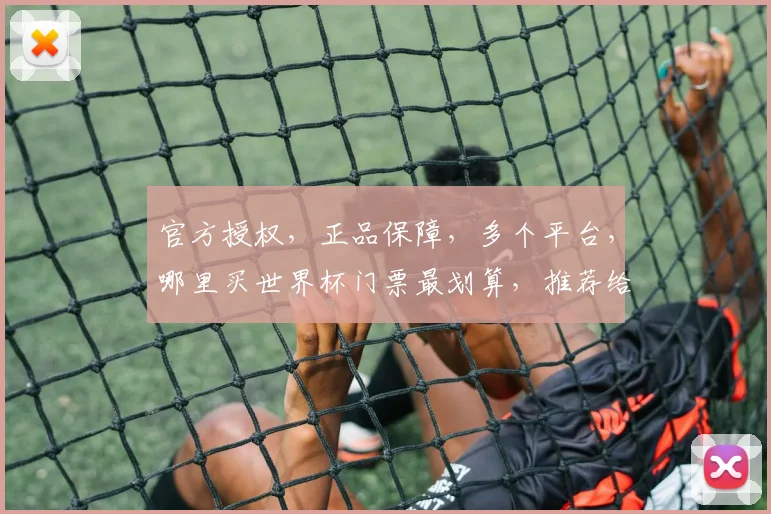 官方授权，正品保障，多个平台，哪里买世界杯门票最划算，推荐给您