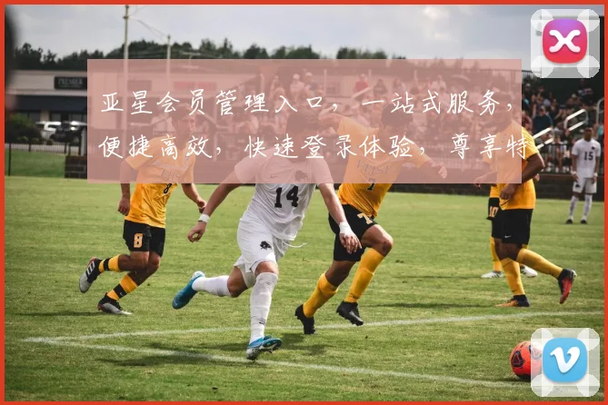 亚星会员管理入口，一站式服务，便捷高效，快速登录体验，尊享特权