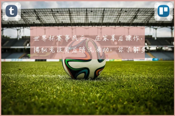 世界杯赛事风云，庄家幕后操作，揭秘竞技背后暗流涌动，你了解多少