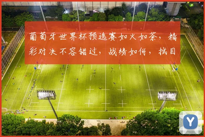 葡萄牙世界杯预选赛如火如荼，精彩对决不容错过，战绩如何，拭目以待