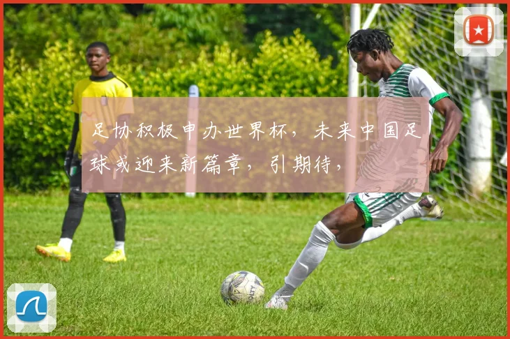 足协积极申办世界杯，未来中国足球或迎来新篇章，引期待，