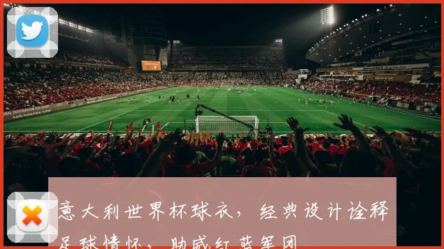 意大利世界杯球衣，经典设计诠释足球情怀，助威红蓝军团